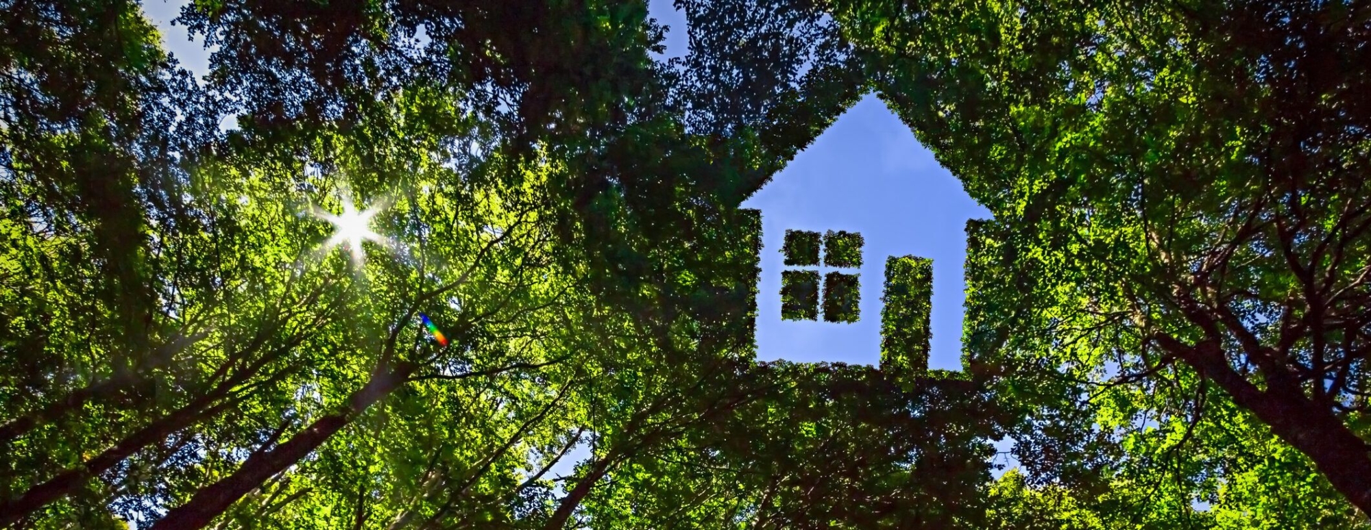 Nachhaltigkeit in der Immobilienwirtschaft